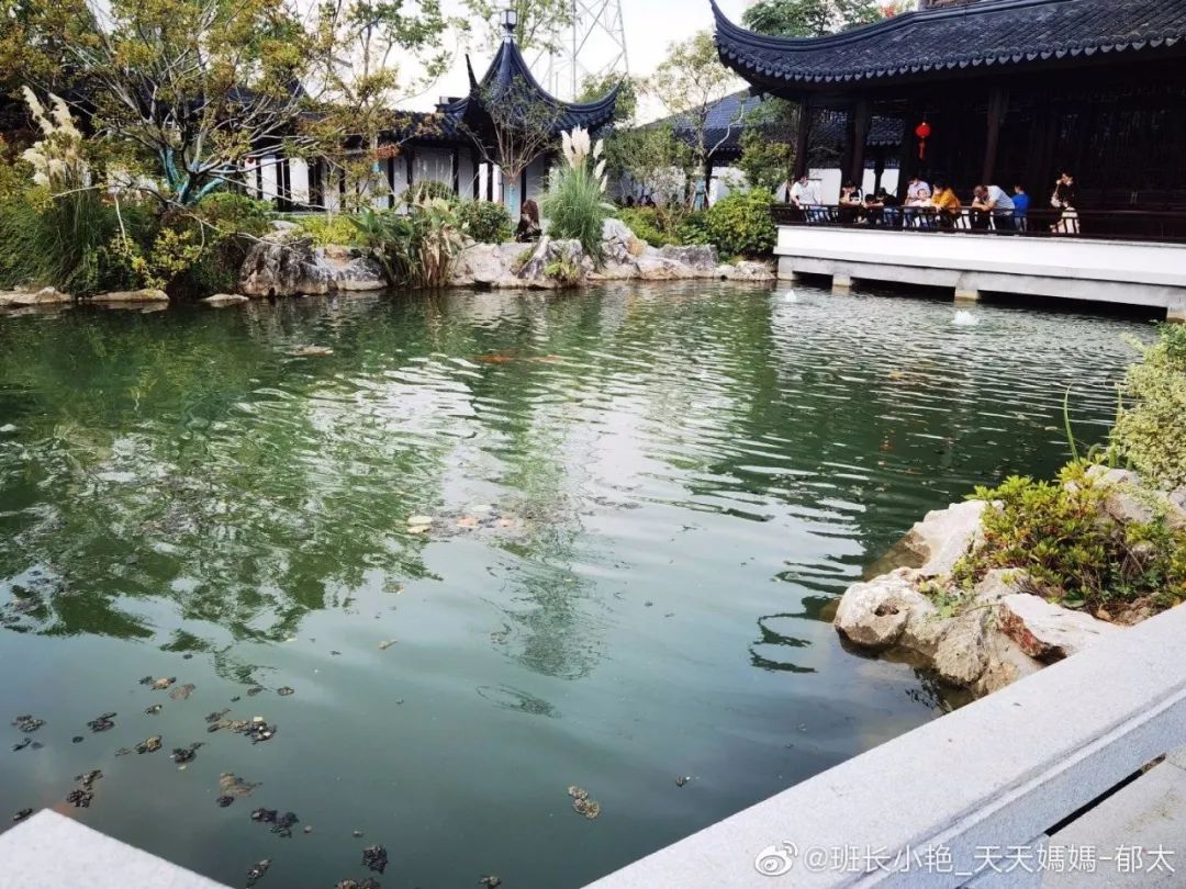 图片来源：见水印