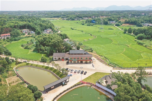 望城多少人口_长沙望城房价多少(3)