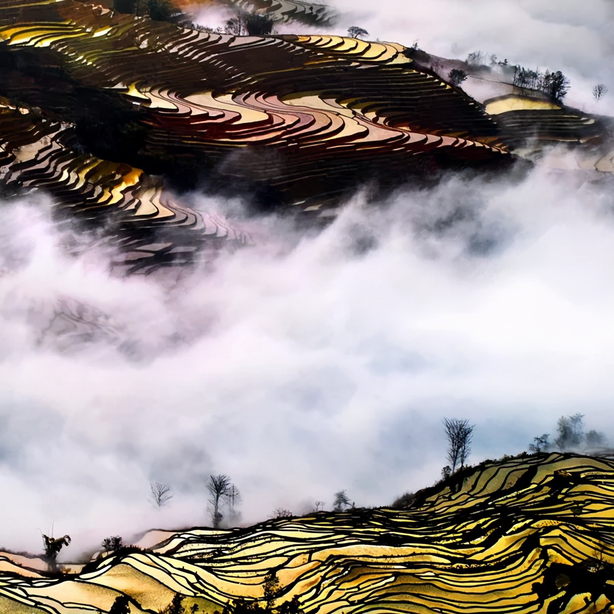 云上梯田:层层叠叠,漫山遍野