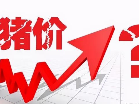 7省猪价下跌，应如何解读？会迎来新一波大跌吗？看专家咋说