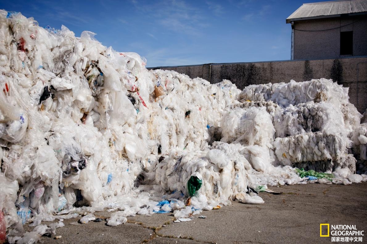 停用塑料吸管能拯救海洋吗?...