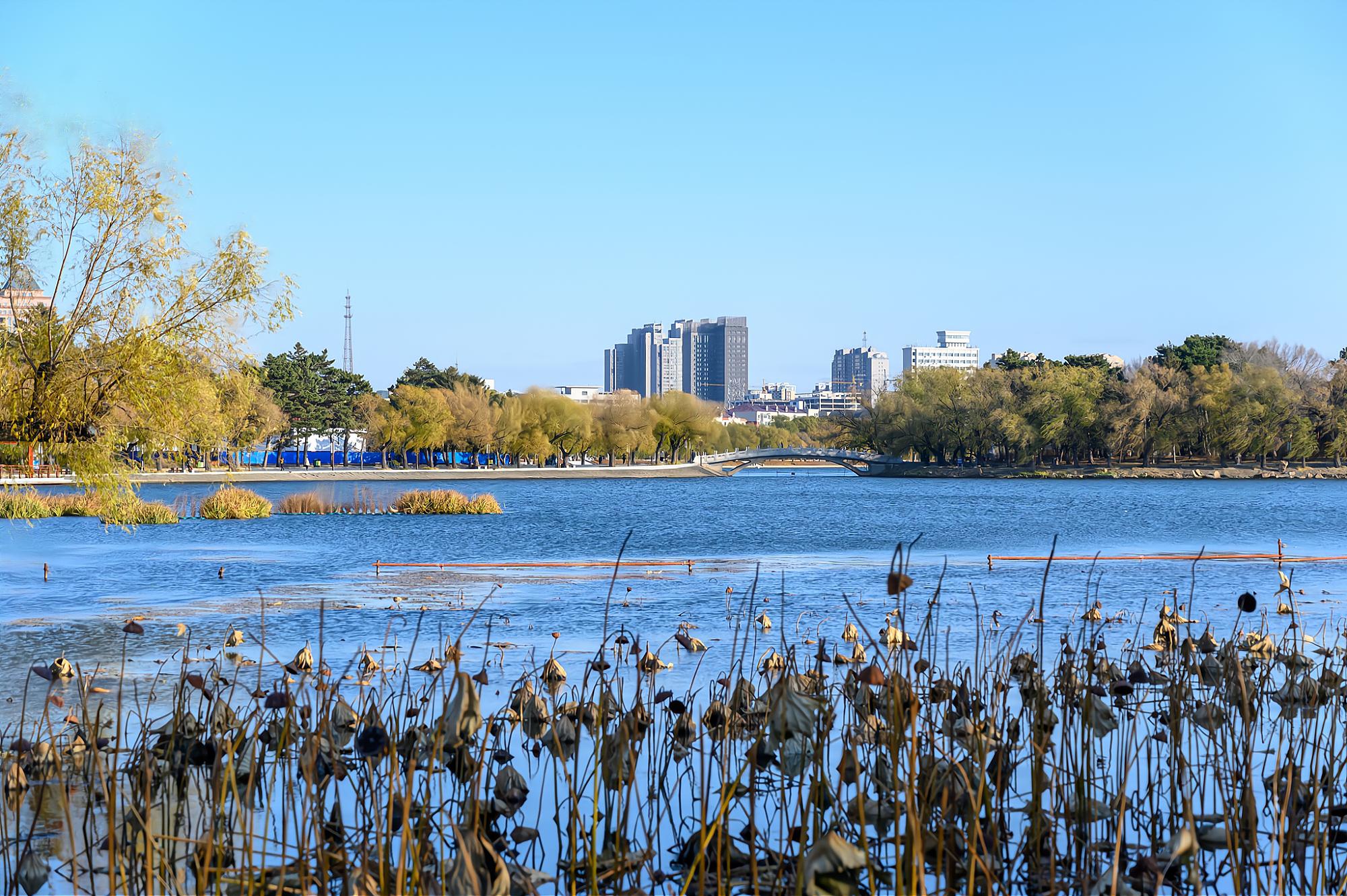 长春南湖公园，全国第二大城市公园，初冬时的景色依然美如画