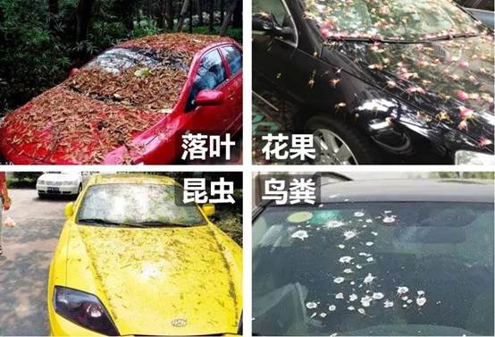 汽车漆老化暗淡无光？BOP带你来扒一扒高性价比的护车方式