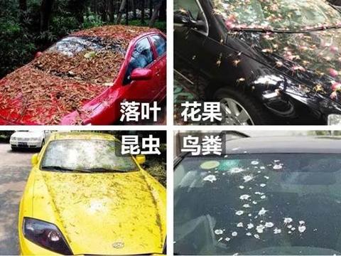 汽车漆老化暗淡无光？BOP带你来扒一扒高性价比的护车方式