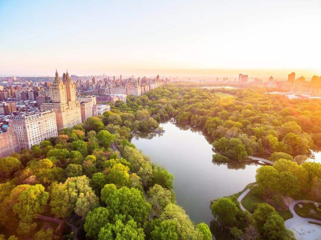 中央公园，纽约 (© Tony Shi Photography/Getty Images) @20200330 | NiceBing 必应美图 ...