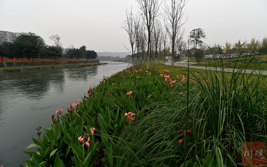 成都武侯区河长制"秘密武器 河道治理有了"超级大脑"