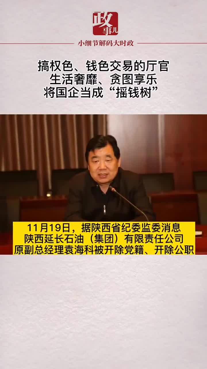 陕西延长石油集团有限责任公司原副总经理袁海科被开除党籍