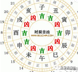 11月19日生肖运势