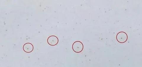 漆面上的“锈点”究竟是什么