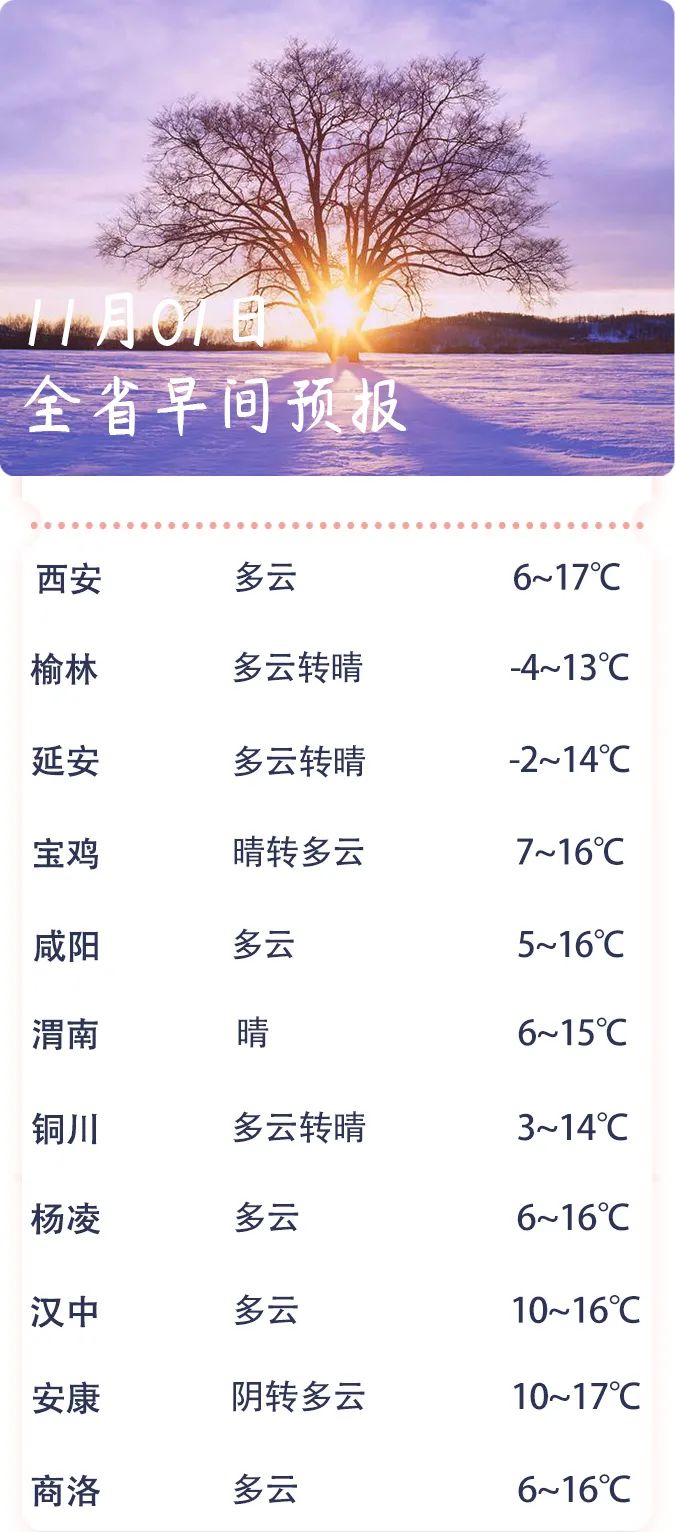 陕西省第七次人口普查短表_第七次人口普查短表(3)