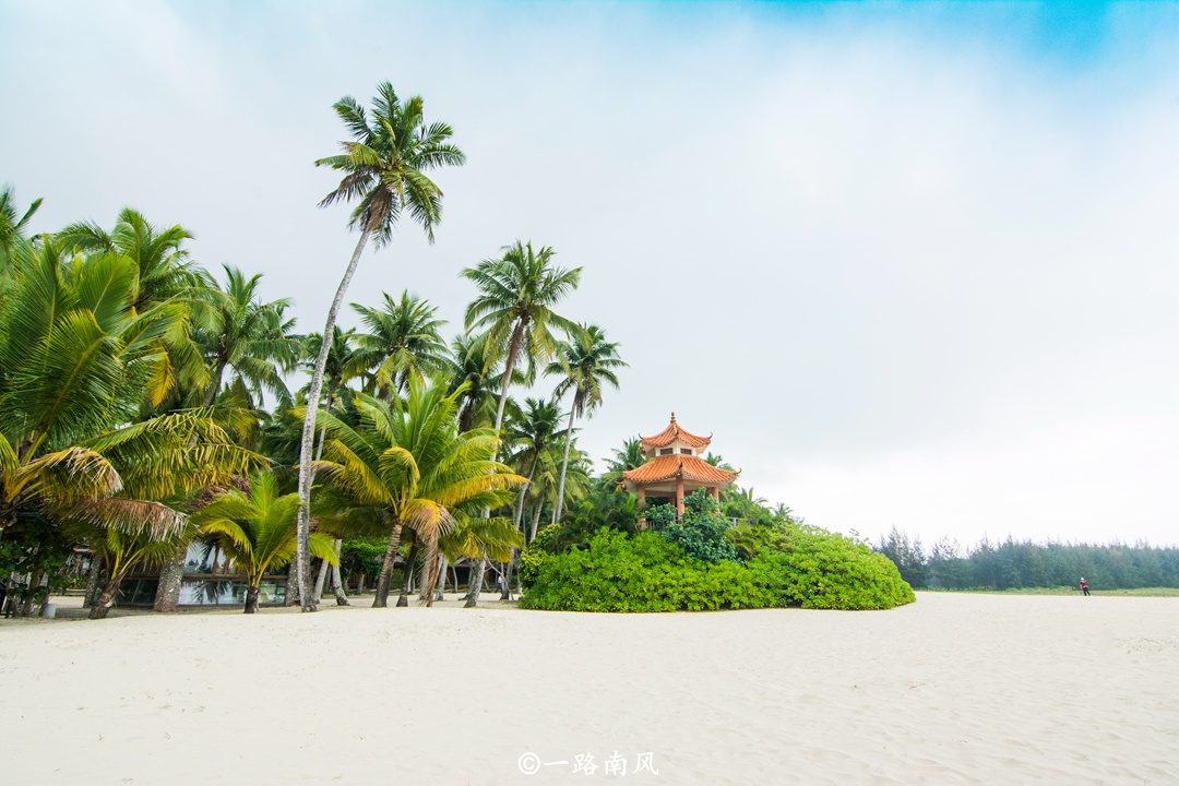 国内椰子第一多的乡镇，位于海南文昌，椰林海滩美成画，游客不多