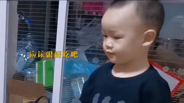 姐姐递螃蟹给弟弟,弟弟接来吃却遇眼神拷问,机智秒变“服务员” 姐姐递螃蟹给弟弟,弟弟接来吃却遇眼神拷问,机智秒变“服务员”