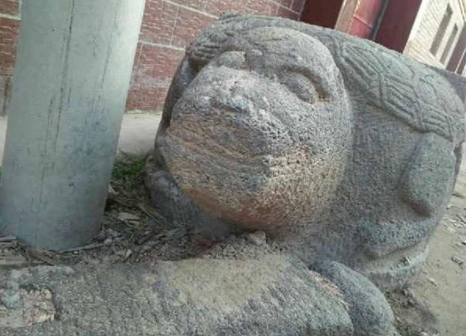 农村老汉挖出庞大石龟，村里的老人都称这是一个宝贝！