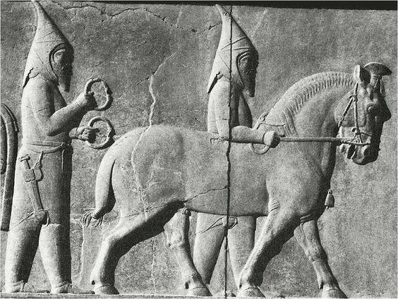 贝丽斯人口_贝亚特丽斯(2)