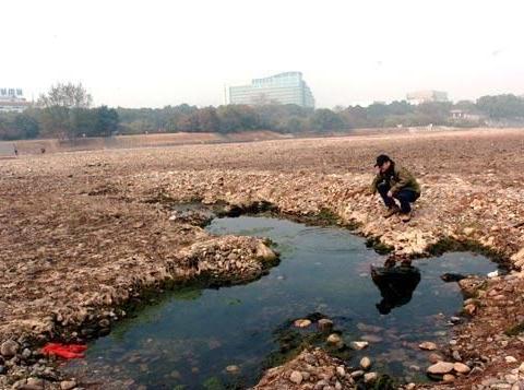 乐清人口_乐清芙蓉镇人口(3)