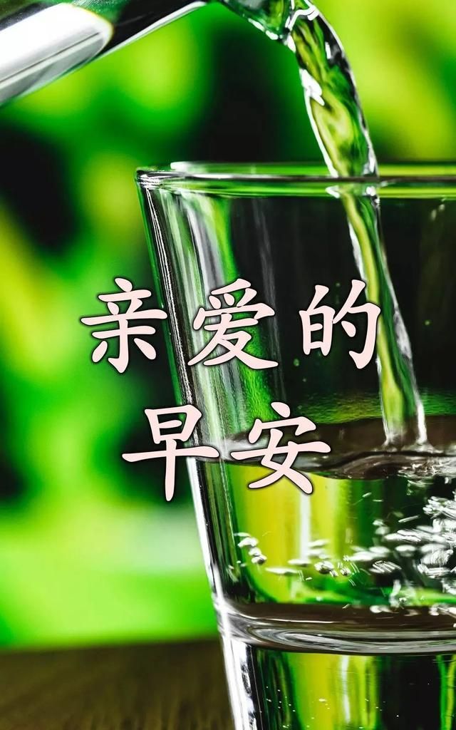 让人自律的正能量哲理小金句 最好看亲爱的早安个性图片