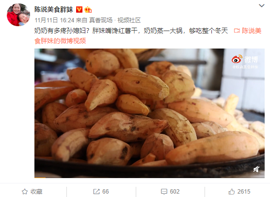 澳门金沙首页风口下,追梦的达人们率先奋翅高飞