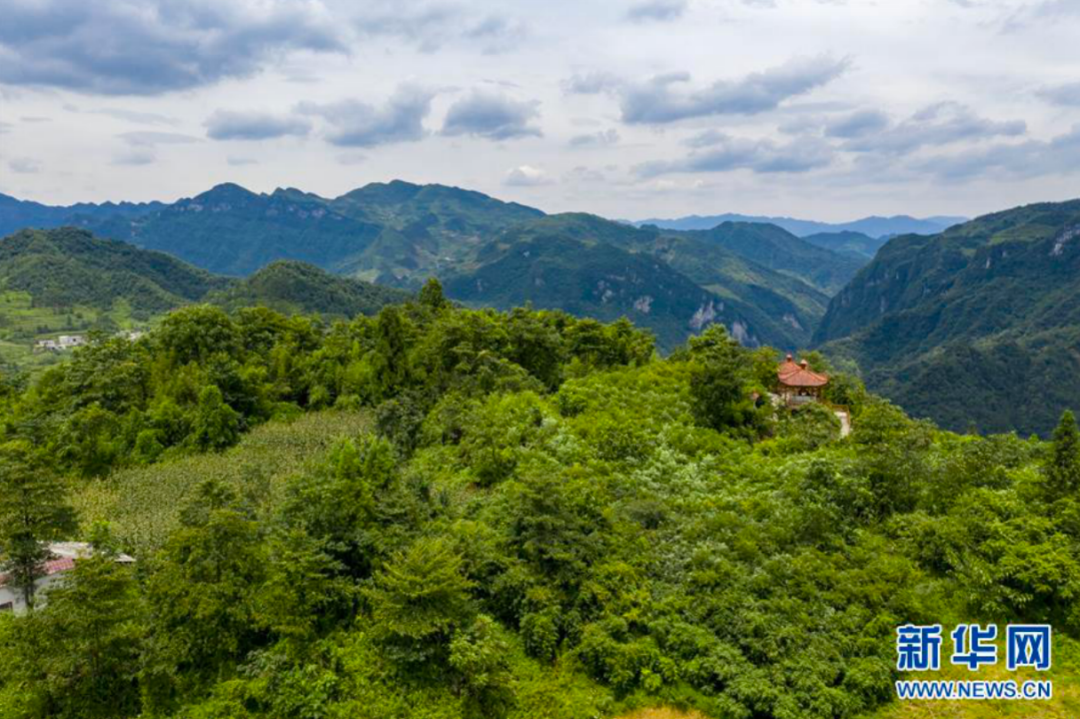 大关县人口_昭通大关县图片(3)