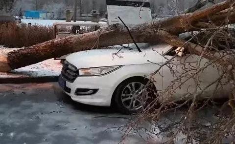 清洗发动机后，油耗升高？ 怎么办？