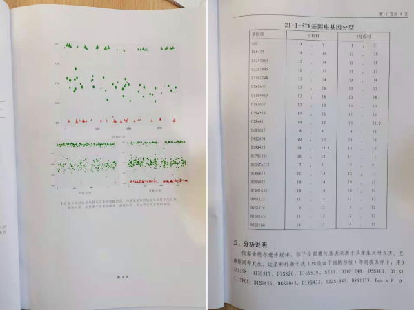 DNA鉴定书中的剖析阐明,鉴定效果为“清扫”