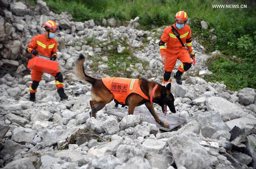 Rescuers and a sniffer dog search in the ruins during an earthquake emergency drill in Haikou, south China's Hainan Province, Nov. 25, 2020. The emergency drill features search and rescue, medical treatment, and epidemic prevention. (Xinhua/Guo Cheng)