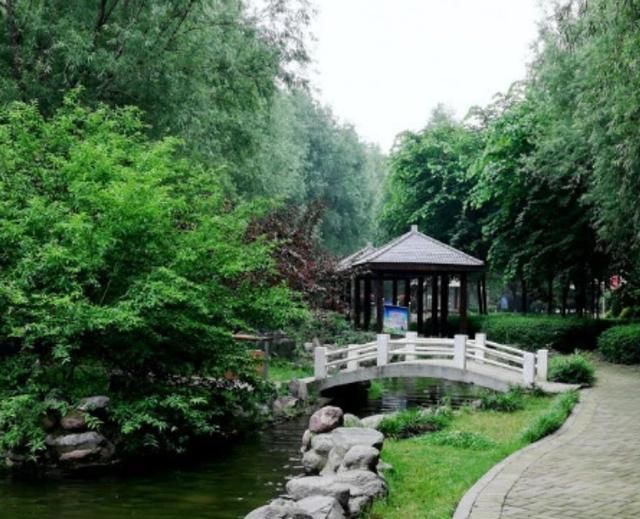 平顶山经济排名2020_2020年前三季度河南18地市GDP情况,焦作到底发生了什