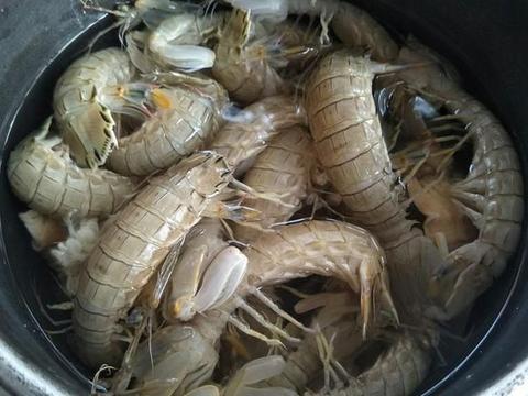 蒸皮皮虾,是冷水入锅还是热水?教你好吃的做法,皮皮虾鲜嫩味美
