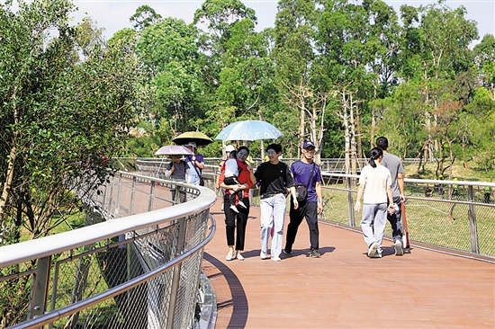 珠海凤凰山步道迎客 受访者供图