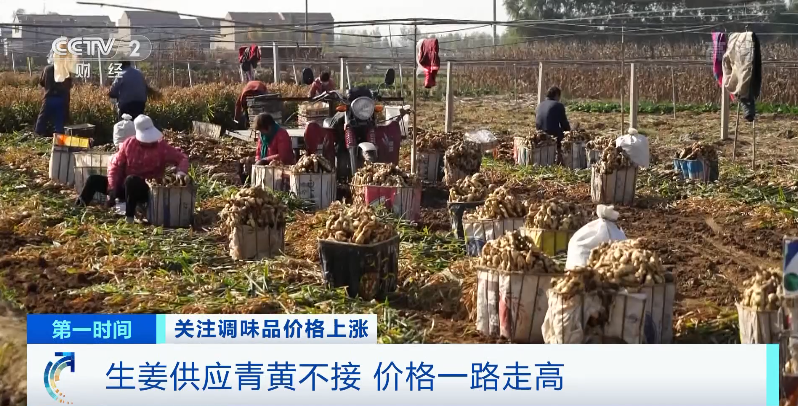 阎良房村人口_阎良大良村老照片