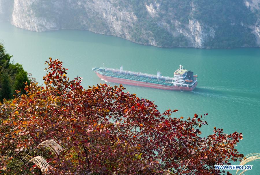 Ships sail through a section of the Xiling Gorge, one of the Three Gorges along the Yangtze River, in Zigui County of Yichang, central China's Hubei Province, Nov. 29, 2020. (Photo by Zheng Jiayu/Xinhua)