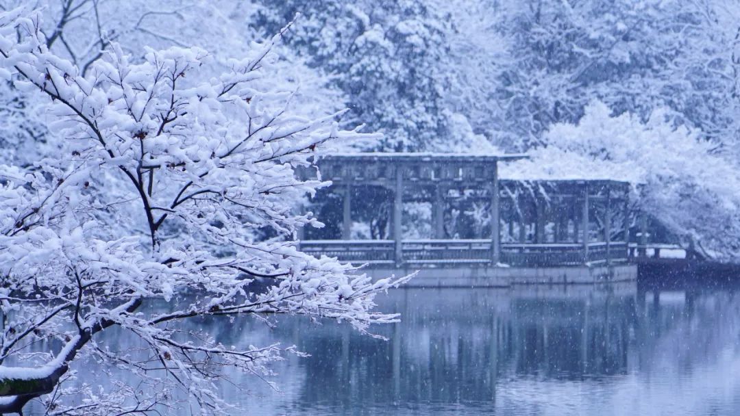 一下雪 杭州就美成了临安