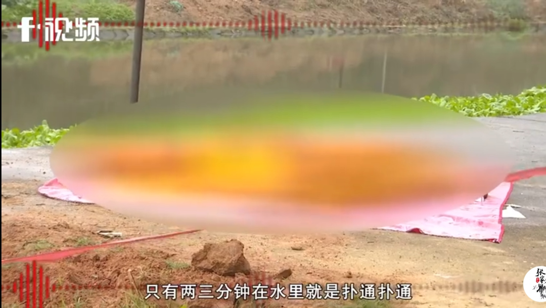 湖南省失踪人口查询_查询湖南省朱茂甫