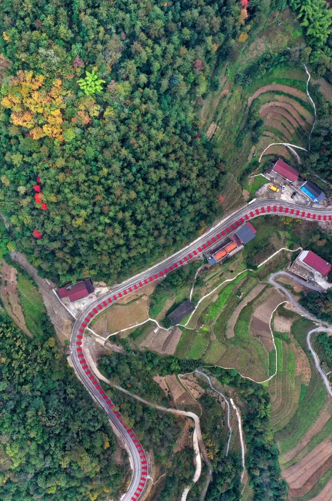 巫溪红池坝镇人口多少_重庆巫溪红池坝(2)