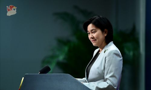 华春莹(资料图)