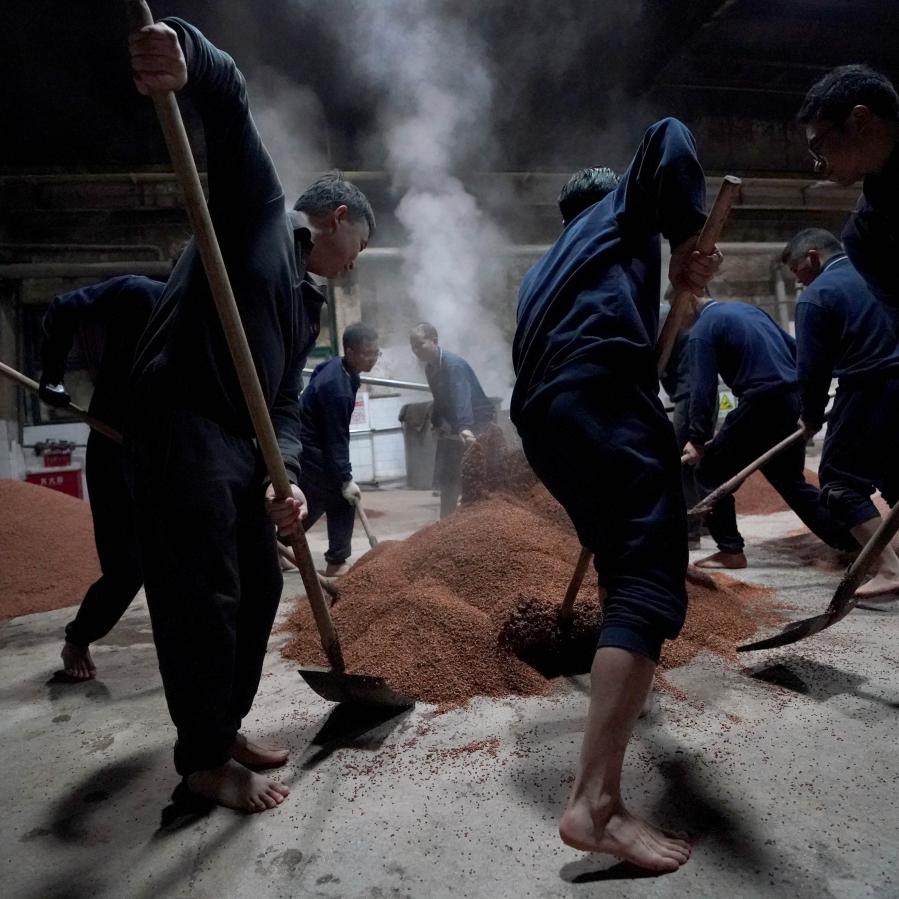 Workers moisten grains at a distillery in Maotai town of Renhuai, southwest China's Guizhou Province, Nov. 28, 2020. Maotai is a small town in Renhuai City in mountainous Guizhou. What distinguishes it from other towns is that it produces a famous brand of Chinese liquor Moutai. The spirit, made from sorghum and wheat, takes up to one year for the whole production process, involving nine times of steaming, eight times of fermentation and seven times of distillation, before aged in clay pots. (Xinhua/Wang Yuguo)