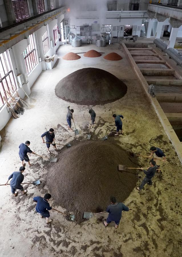 Workers mix grains with yeast at a distillery in Maotai town of Renhuai, southwest China's Guizhou Province, Nov. 28, 2020. Maotai is a small town in Renhuai City in mountainous Guizhou. What distinguishes it from other towns is that it produces a famous brand of Chinese liquor Moutai. The spirit, made from sorghum and wheat, takes up to one year for the whole production process, involving nine times of steaming, eight times of fermentation and seven times of distillation, before aged in clay pots. (Xinhua/Wang Yuguo)