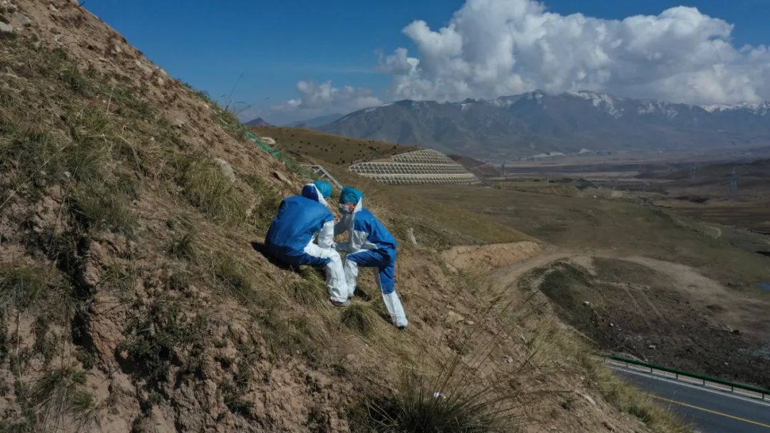 黑帮杀人埋尸17年 民警在厨房暗洞完成最后的抓