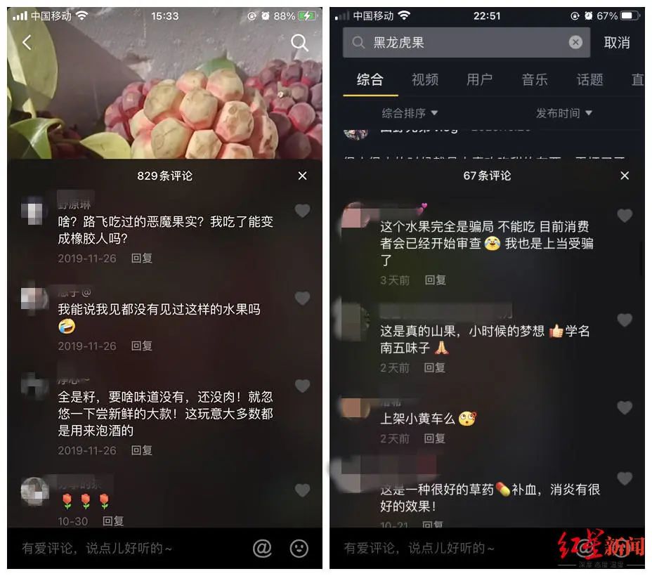 成都街头出现一种“神奇水果”35元一斤 专家却