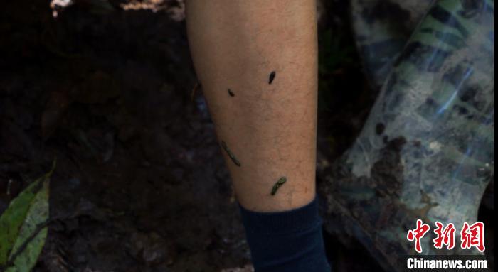 穿密林淌沼泽 西藏边防官兵的“生死巡逻路”