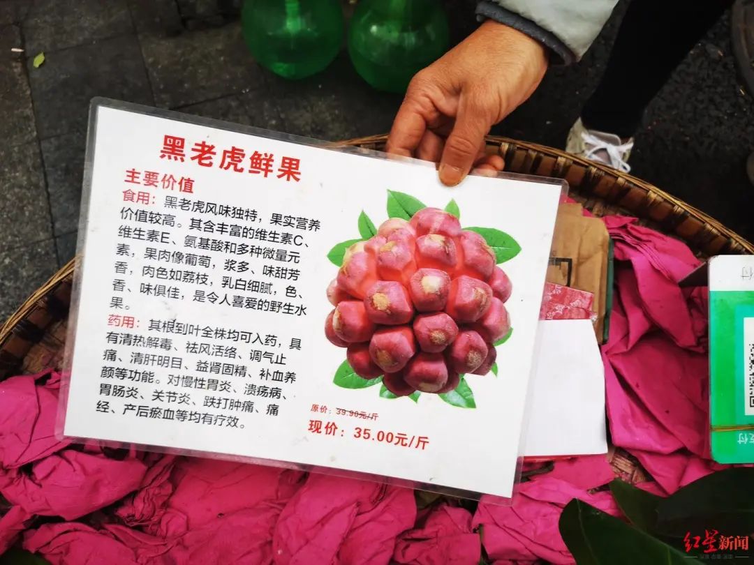 成都街头出现一种“神奇水果”35元一斤 专家却