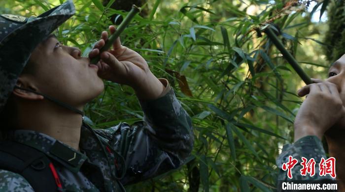 穿密林淌沼泽 西藏边防官兵的“生死巡逻路”