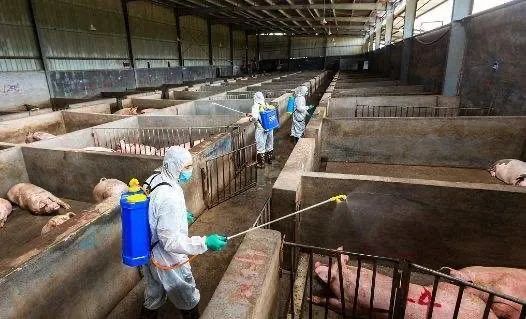 资料图片 来源：四川农村日报