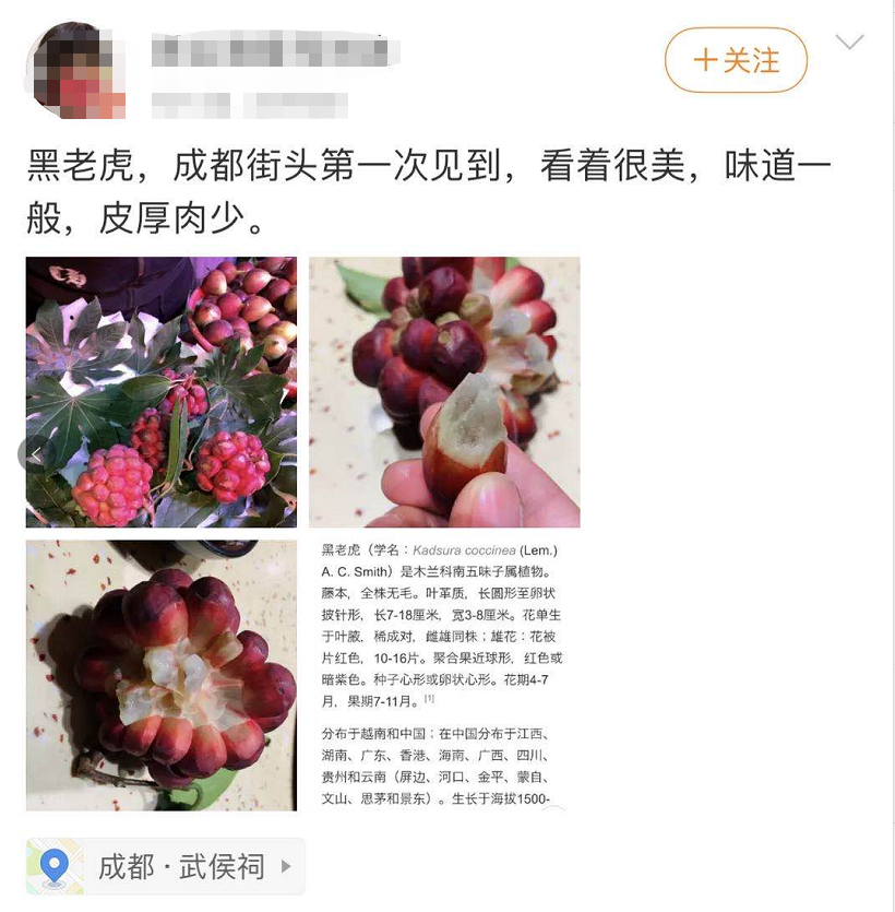 成都街头出现一种“神奇水果”35元一斤 专家却