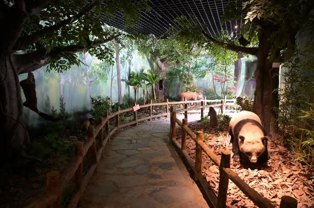 茶园、民宿、古寺....平武这个特色小镇,藏着一个别样的秋天休闲区蓝鸢梦想 - Www.slyday.coM 茶园、民宿、古寺....平武这个特色小镇,藏着一个别样的秋天休闲区蓝鸢梦想 - Www.slyday.coM