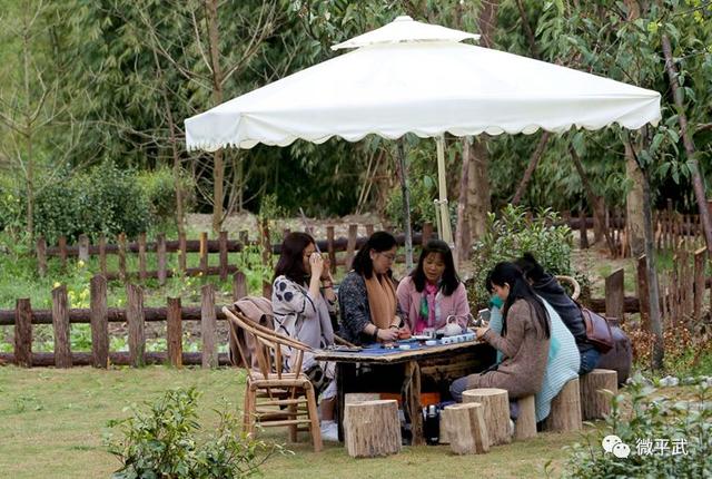 茶园、民宿、古寺....平武这个特色小镇,藏着一个别样的秋天休闲区蓝鸢梦想 - Www.slyday.coM 茶园、民宿、古寺....平武这个特色小镇,藏着一个别样的秋天休闲区蓝鸢梦想 - Www.slyday.coM