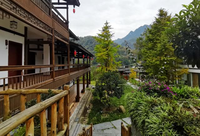 茶园、民宿、古寺....平武这个特色小镇,藏着一个别样的秋天休闲区蓝鸢梦想 - Www.slyday.coM 茶园、民宿、古寺....平武这个特色小镇,藏着一个别样的秋天休闲区蓝鸢梦想 - Www.slyday.coM