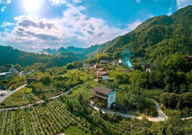 茶园、民宿、古寺....平武这个特色小镇,藏着一个别样的秋天休闲区蓝鸢梦想 - Www.slyday.coM 茶园、民宿、古寺....平武这个特色小镇,藏着一个别样的秋天休闲区蓝鸢梦想 - Www.slyday.coM