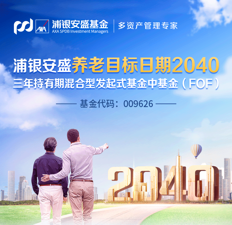 一图读懂浦银安盛养老2040三年持有混合fof基金