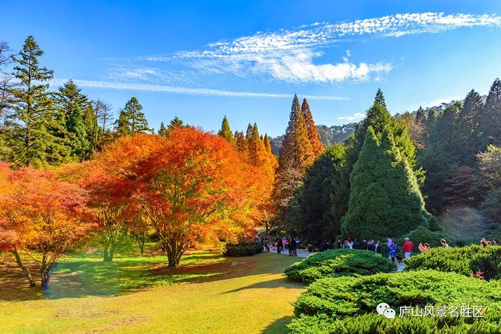 给你最绝色的秋景大片 庐山的四季都让人留恋 尤其到了秋天