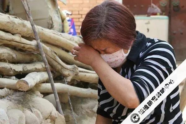 救救这700多只毛孩子吧!57岁救助人被病痛缠身,狗狗们将温饱难继!休闲区蓝鸢梦想 - Www.slyday.coM 救救这700多只毛孩子吧!57岁救助人被病痛缠身,狗狗们将温饱难继!休闲区蓝鸢梦想 - Www.slyday.coM